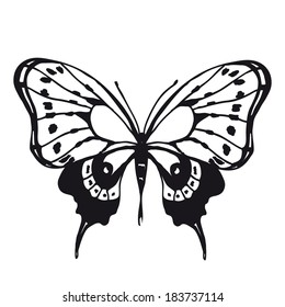butterflies design