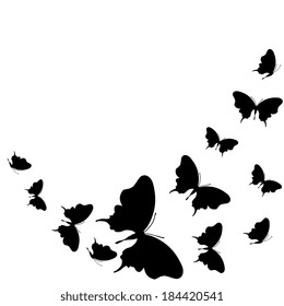butterflies design