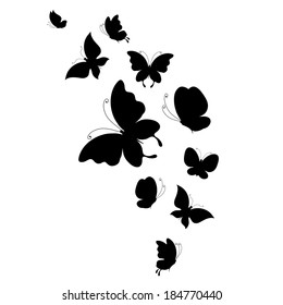 butterflies design