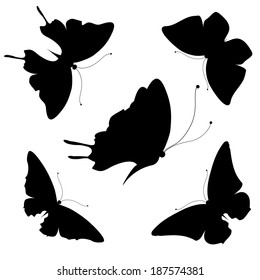 butterflies design