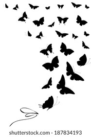 butterflies design