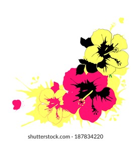 butterflies design