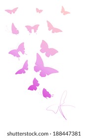 butterflies design