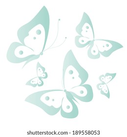 butterflies design