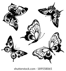 butterflies design