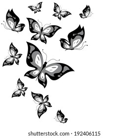 butterflies design
