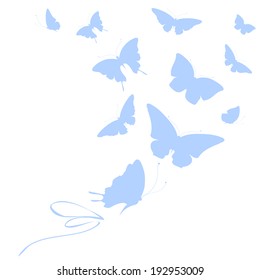 butterflies design