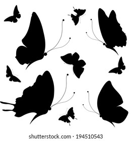 butterflies design