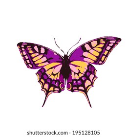 butterflies design