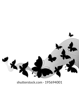 butterflies design