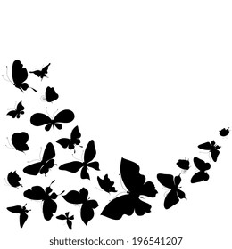 butterflies design