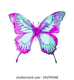 butterflies design