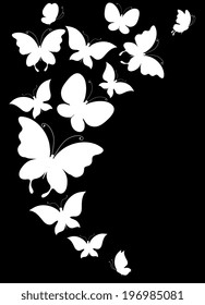 butterflies design