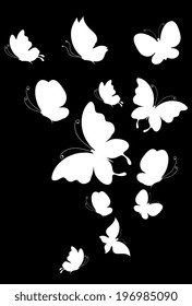 butterflies design