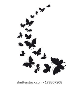 butterflies design
