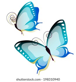 butterflies design