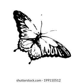 butterflies design