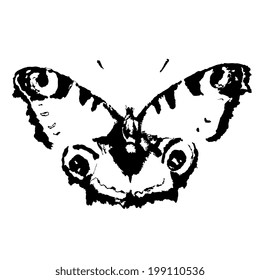 butterflies design