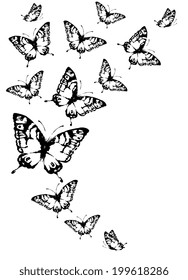 butterflies design