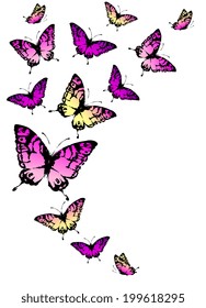 butterflies design