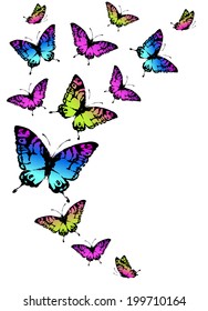 butterflies design