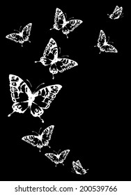 butterflies design