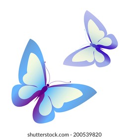 butterflies design