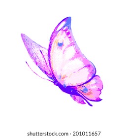 butterflies design