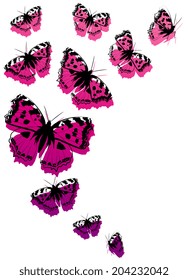 butterflies design