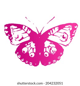 butterflies design