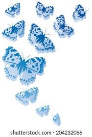 butterflies design