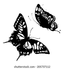 butterflies design