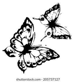 butterflies design
