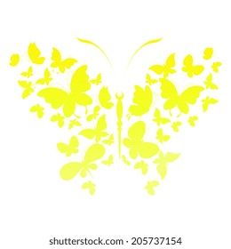 butterflies design