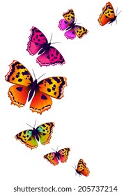 butterflies design