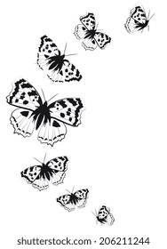 butterflies design