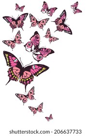 butterflies design