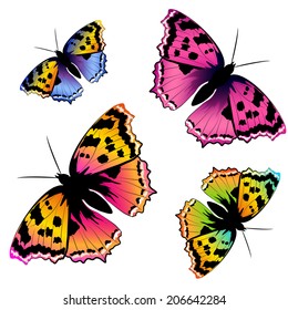 butterflies design