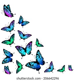 butterflies design