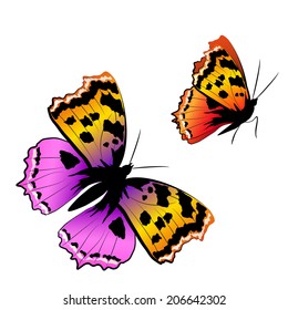 butterflies design