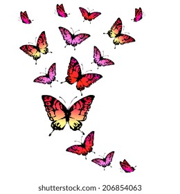 butterflies design