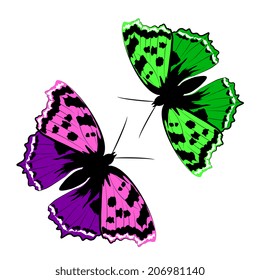 butterflies design