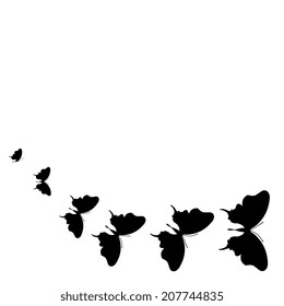 butterflies design