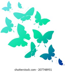 butterflies design