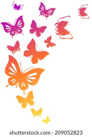 butterflies design