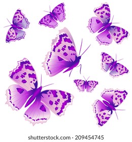 butterflies design