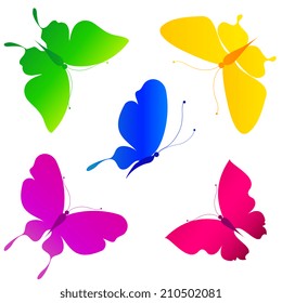 butterflies design