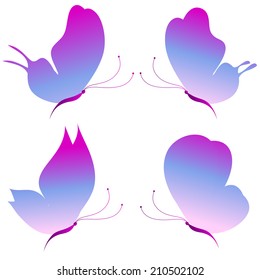 butterflies design