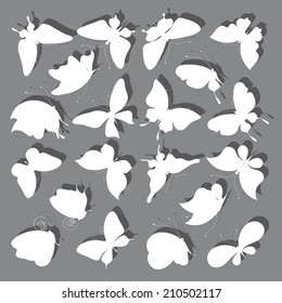 butterflies design