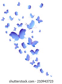 butterflies design